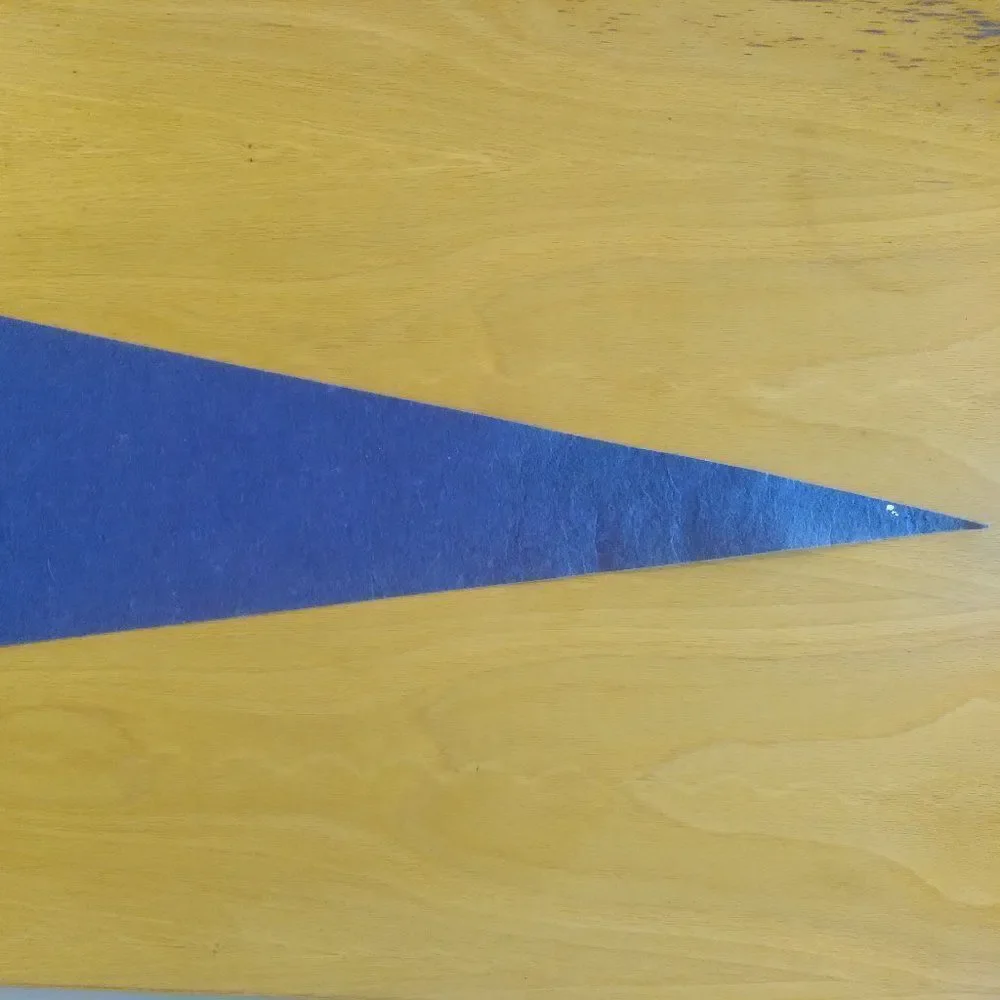 Vintage 60s San Antonio Texas The Alamo Pennant Flag